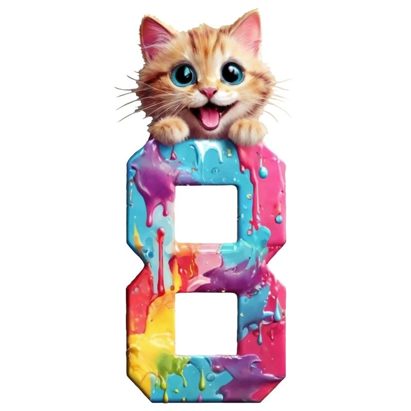 CHAT 8 ANS 8E ANNIVERSAIRE