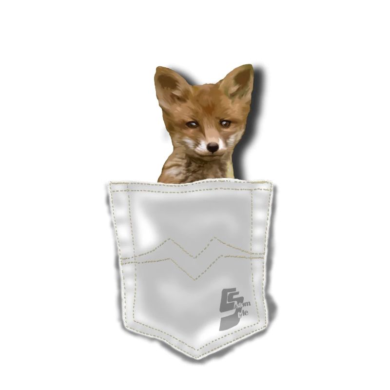 pocket fox by customstyle