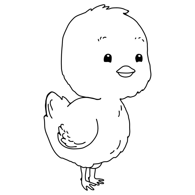 chick