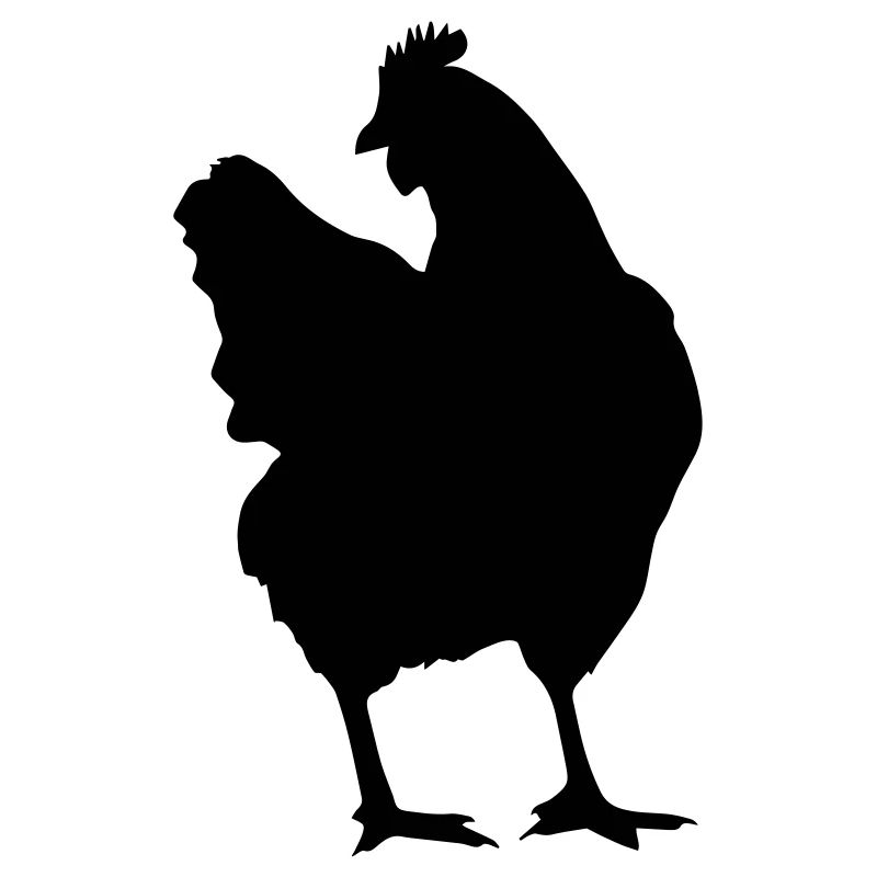 chicken