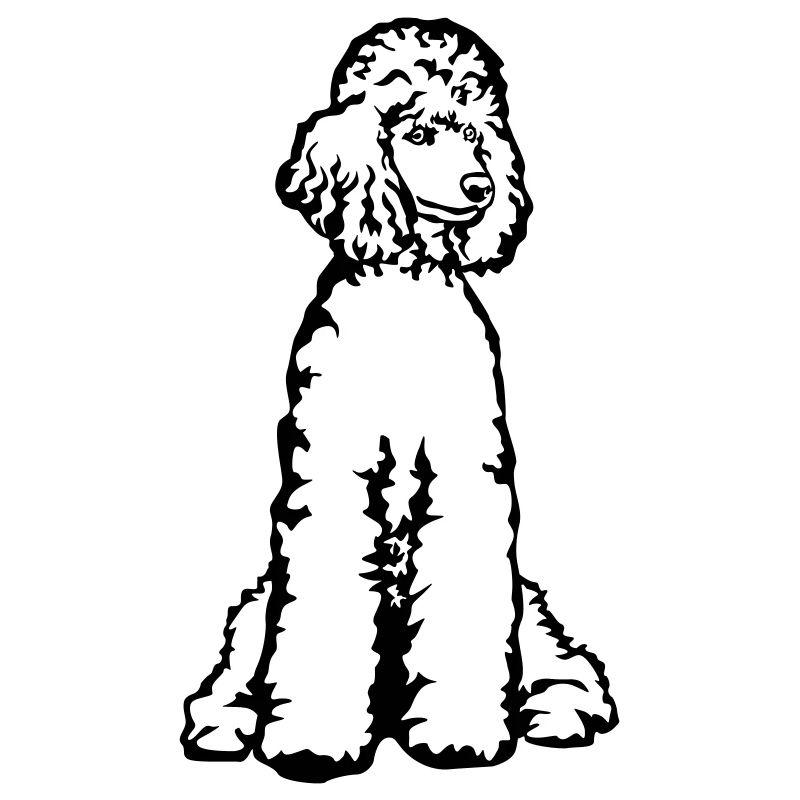 Poodle