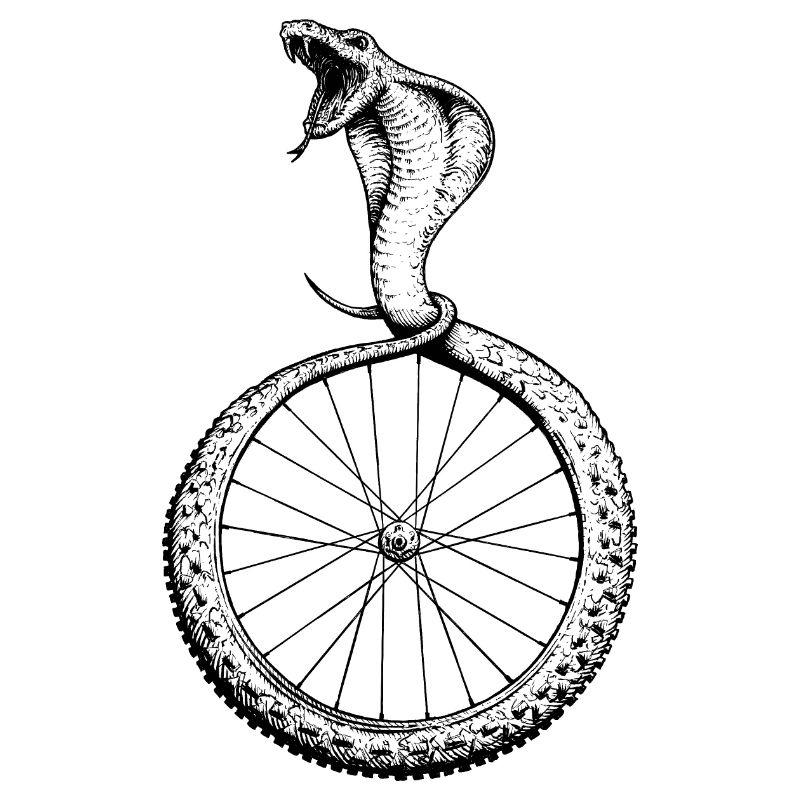 Snakebite