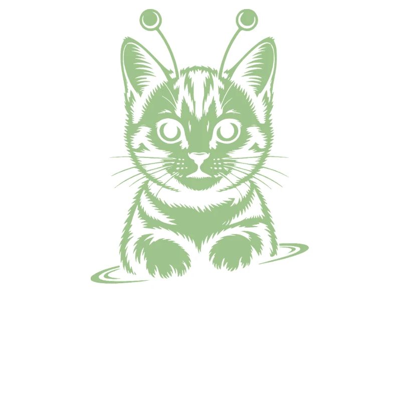 Chat Spatial Pattes Astrales