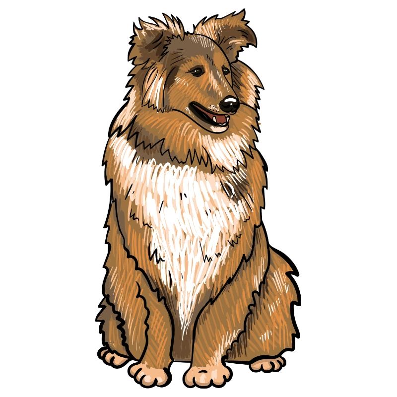 Crabot de Sheltie