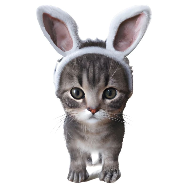 Cat with rabbit ears