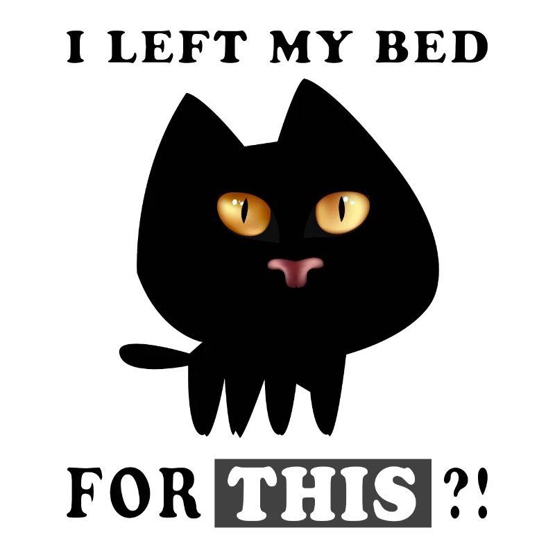C’est pourquoi j’ai quitté mon LIT?