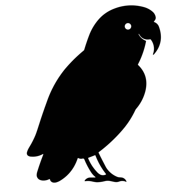 Parrot