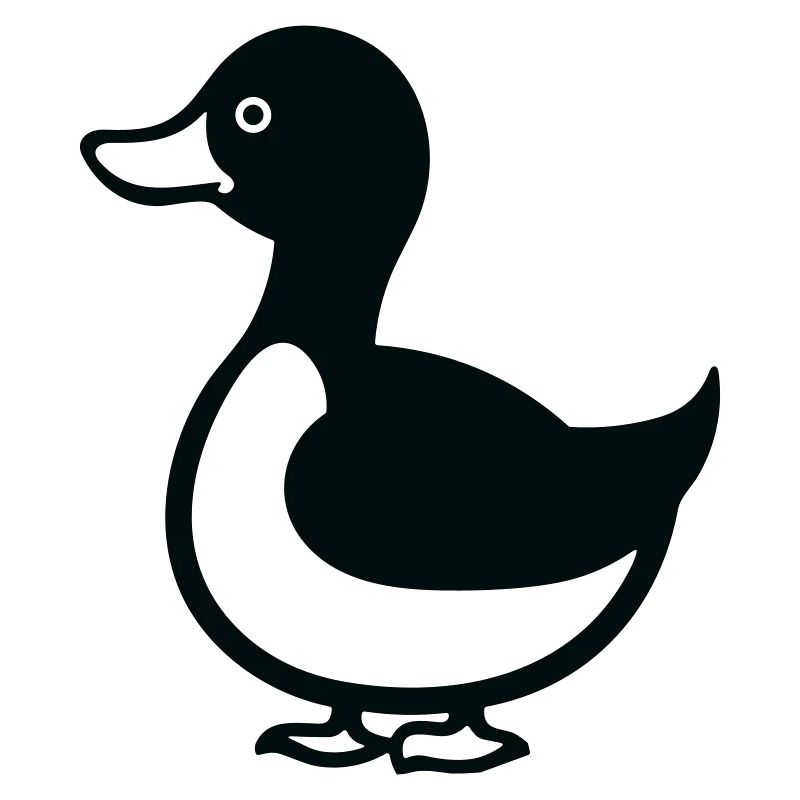 duck