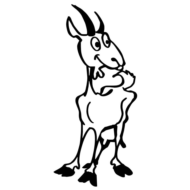 Goat kid