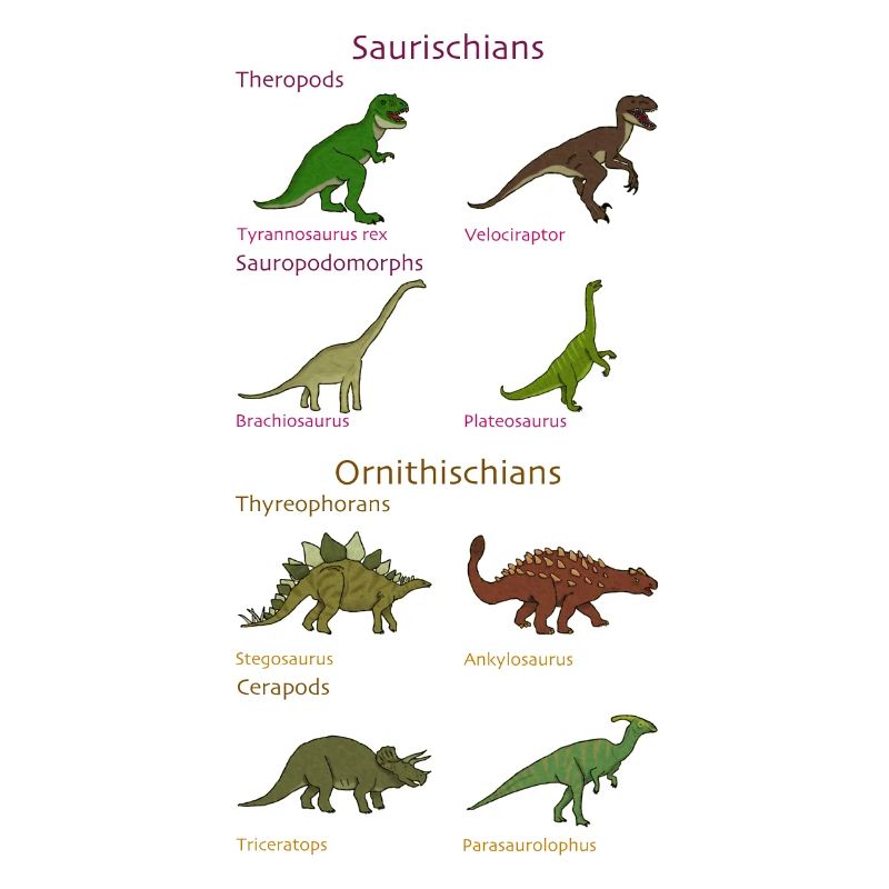 Dinosaur Classification