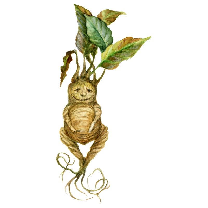 Root Creature Fantasy Mythical Creature Design
