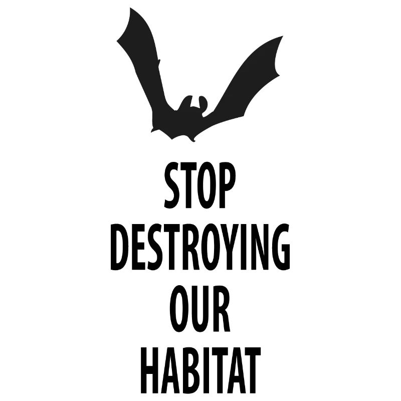 Bat Bats