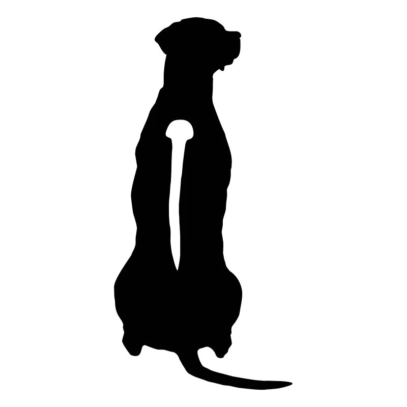 Rhodesian Ridgeback Back