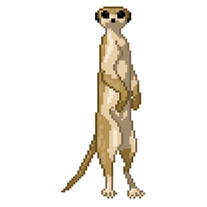 Suricate