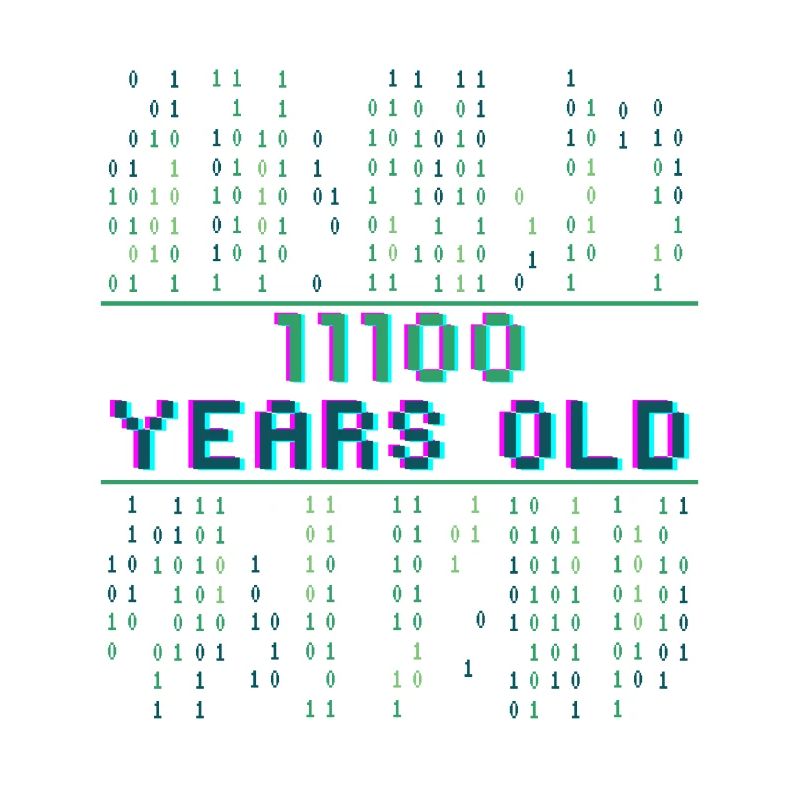 28th Birthday 28 years old Binary Code Coder