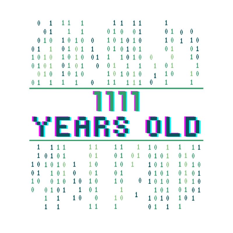 15th Birthday 15 Year Old Binary Code Coder