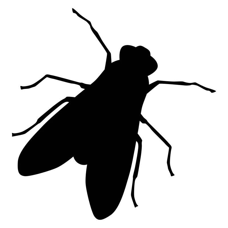 Fliege