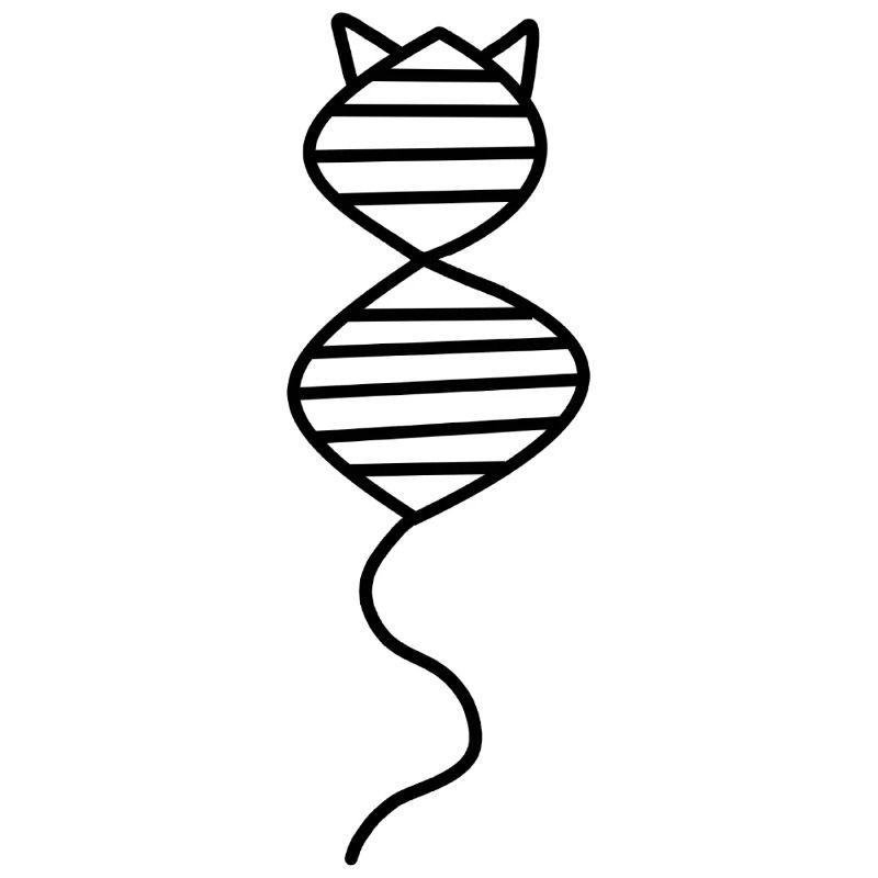 Cat DNA genetics