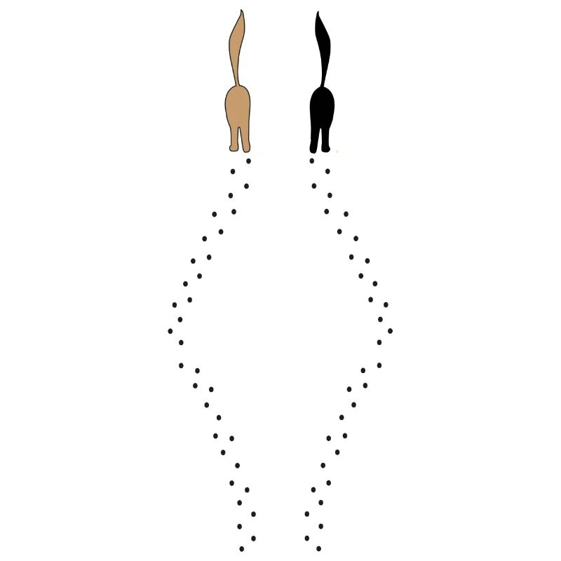 Catwalk