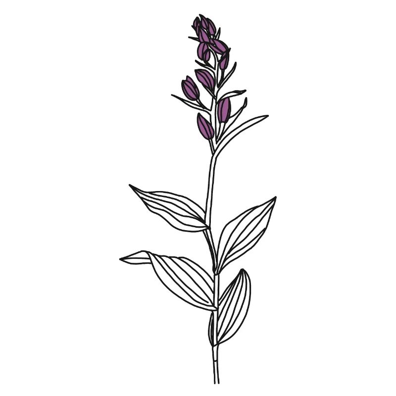 Blume Waldvögelein
