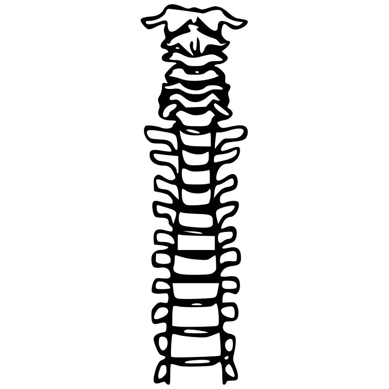 spinetop