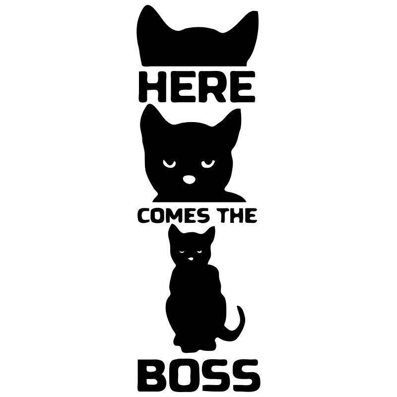 Here comes the Boss (Cat)