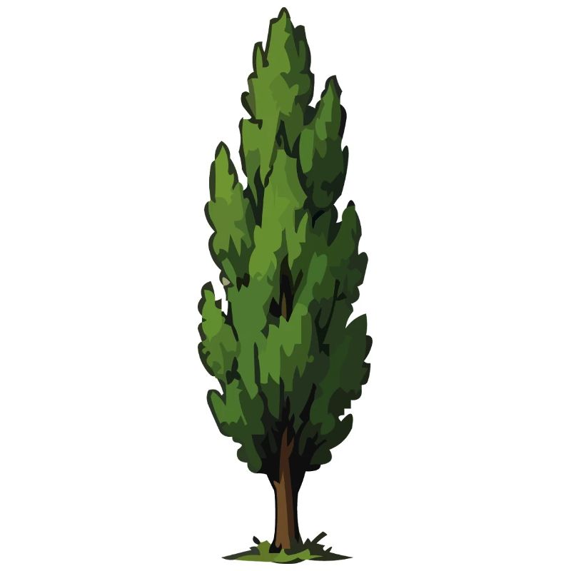 Stylized Green Tree Shape