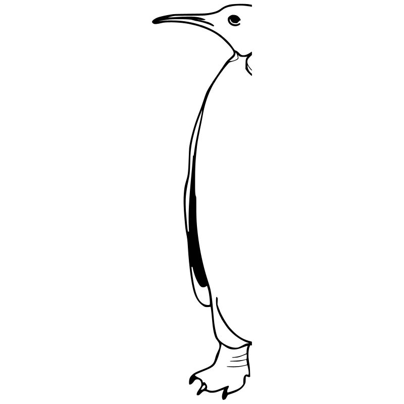 Pinguin Halb