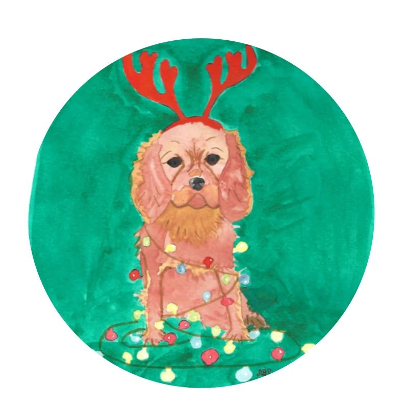 Robin de Noël