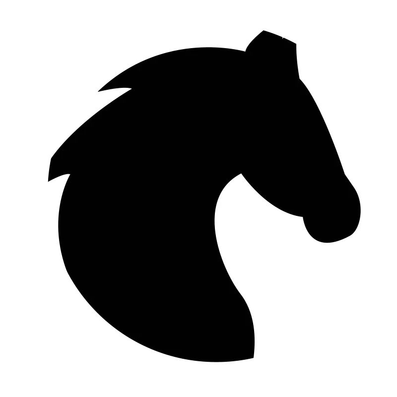 Pferd, Pferdekopf, Pferde, Reiten, Kopf