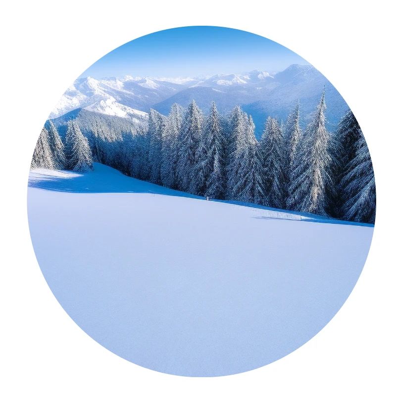 Winterwunder