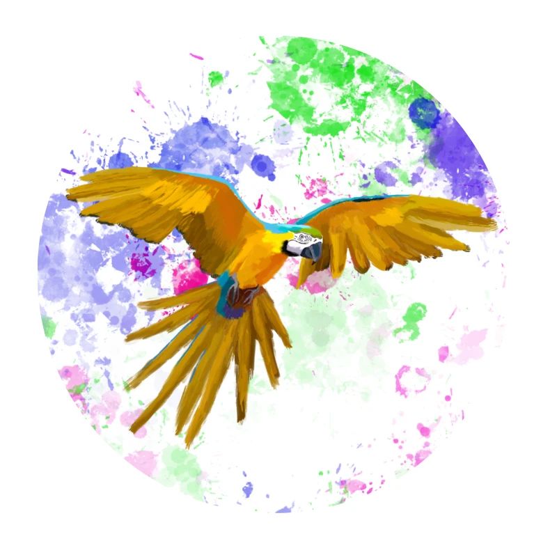 Macaw flight before paint splashes