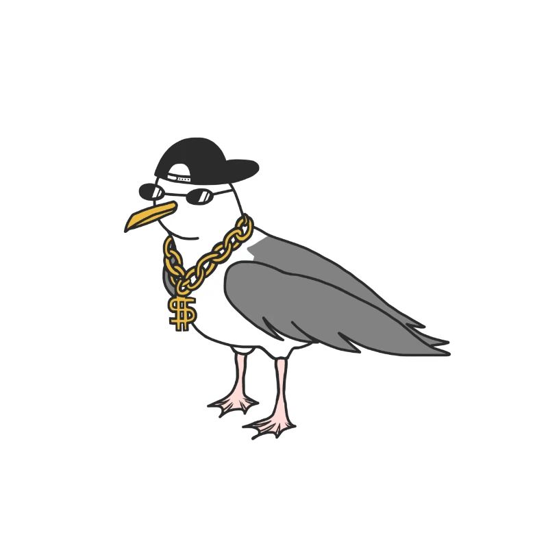 Rapper Seemöwe