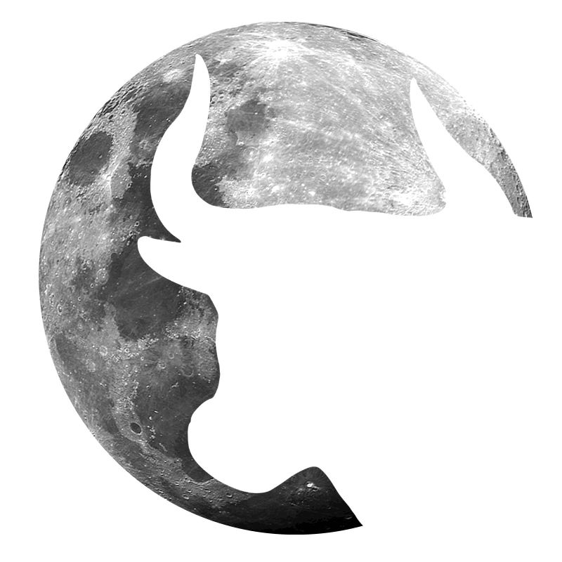 Taurus in the full moon