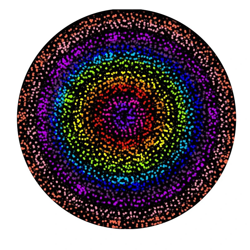 Concentric rainbow dot circles