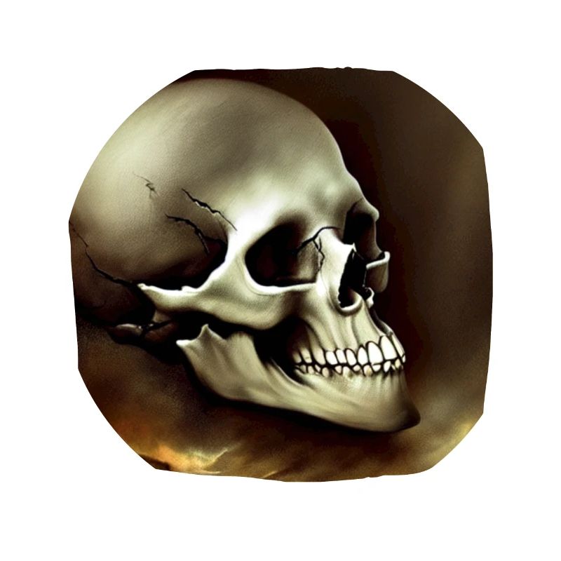 Skull for rockers
