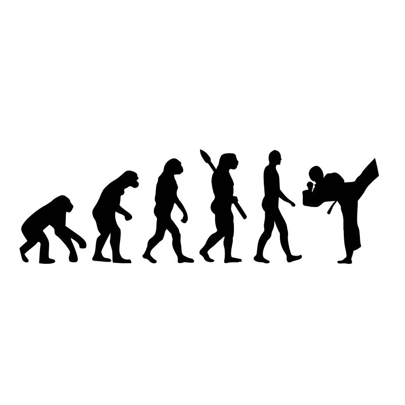Evolution Karate