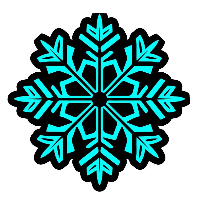 Snowflake Snow Icon