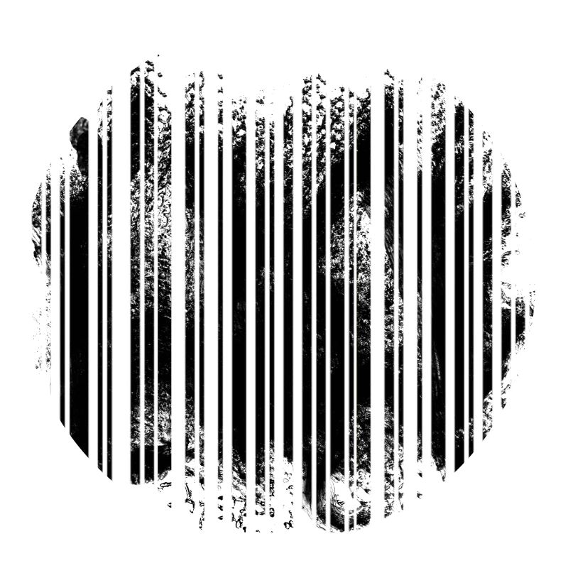 Code à barres d'illusion optique qui ressemble à une forêt