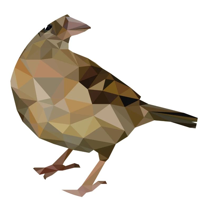 Spatz