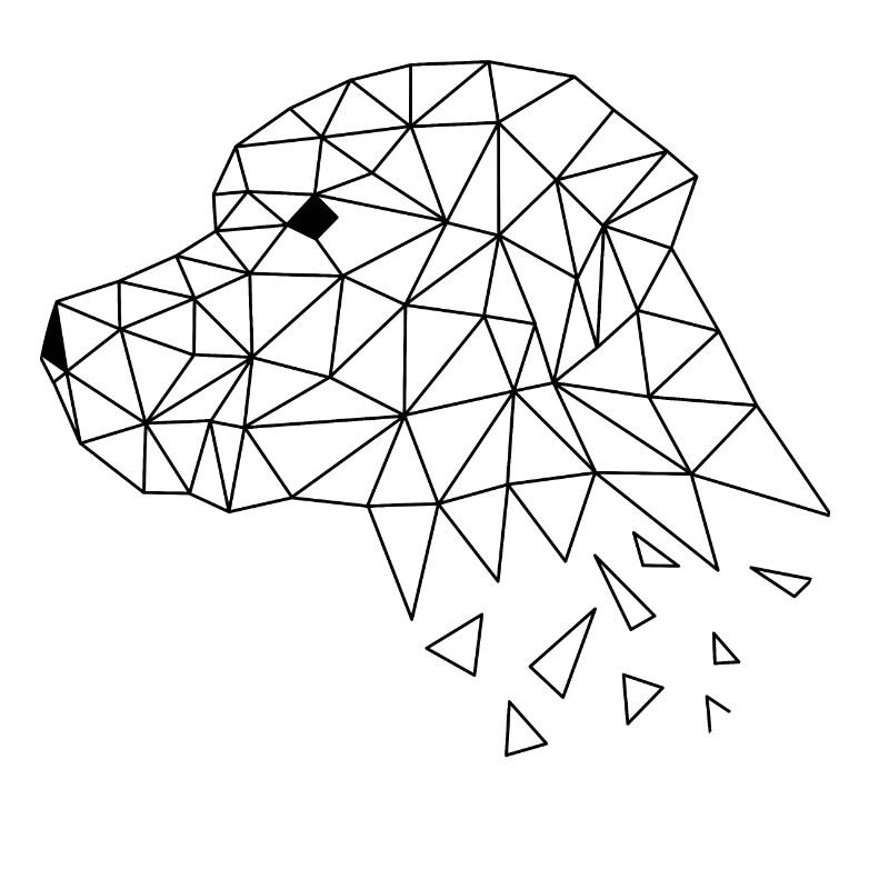 Labrador (dog)