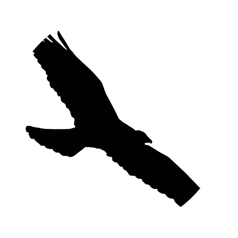 Bussard
