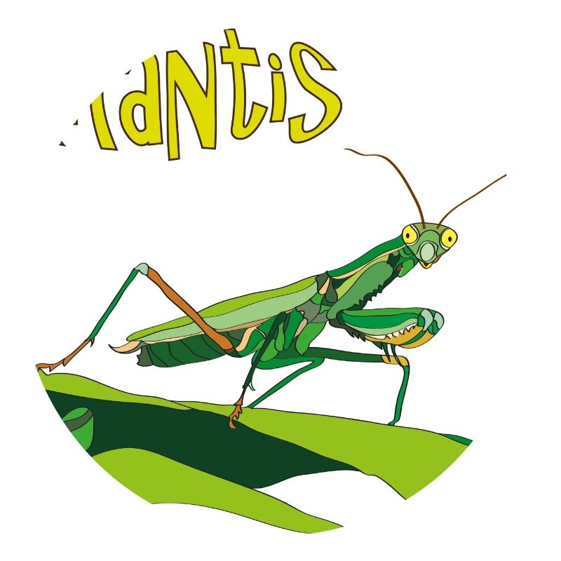 Praying mantis, Mantis