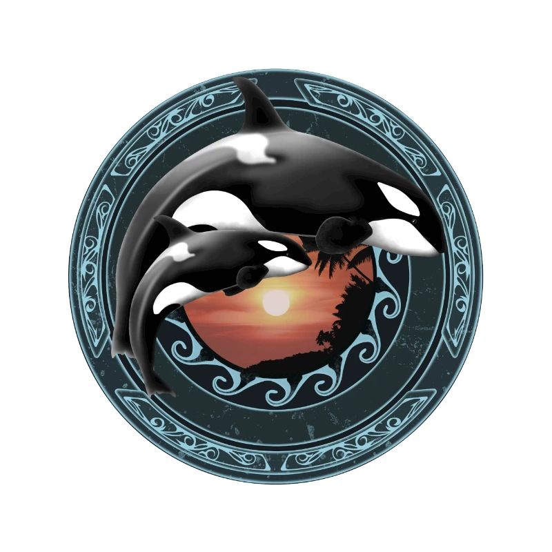 Orca killer whale