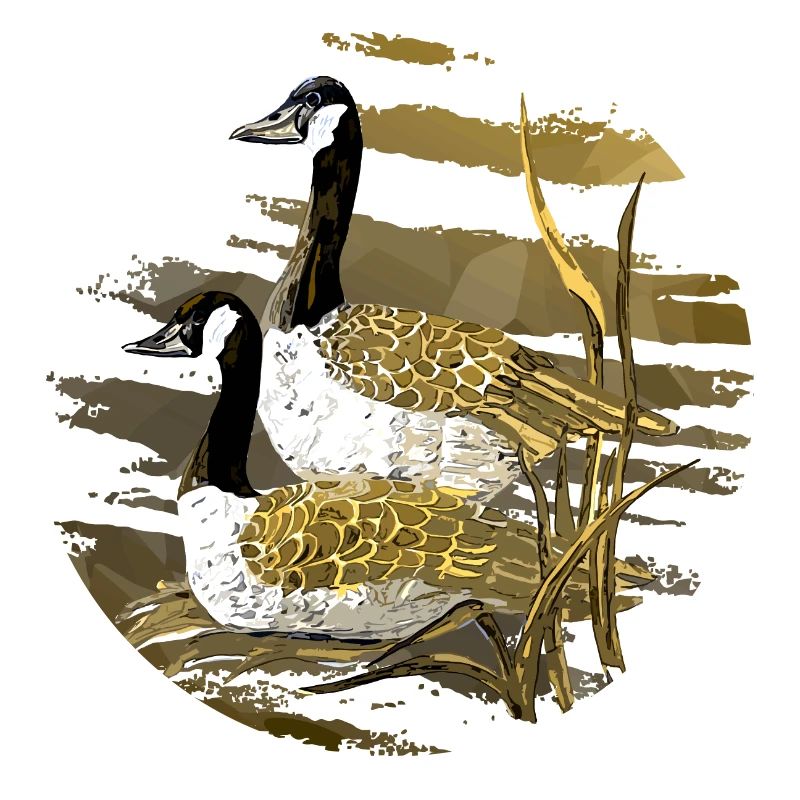 Die Vögel