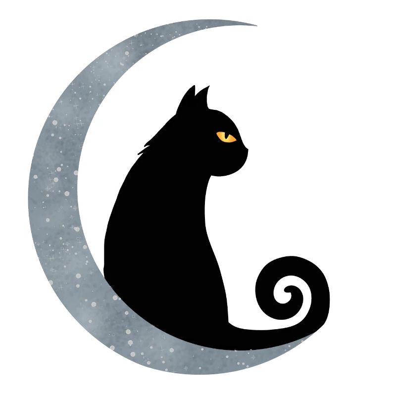 Chat de lune