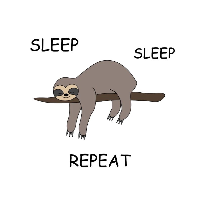 Sloth sleeping