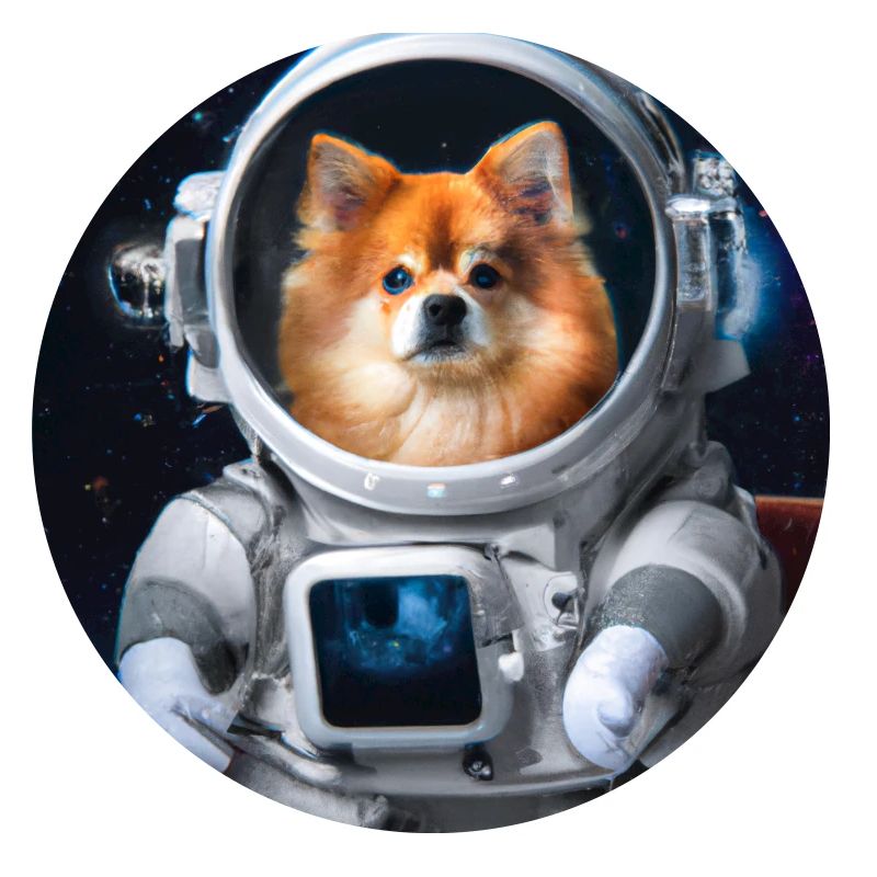 Poméranien en combinaison spatiale - chien dans l’espace