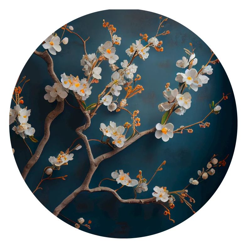 Branche de fleurs de cerisier