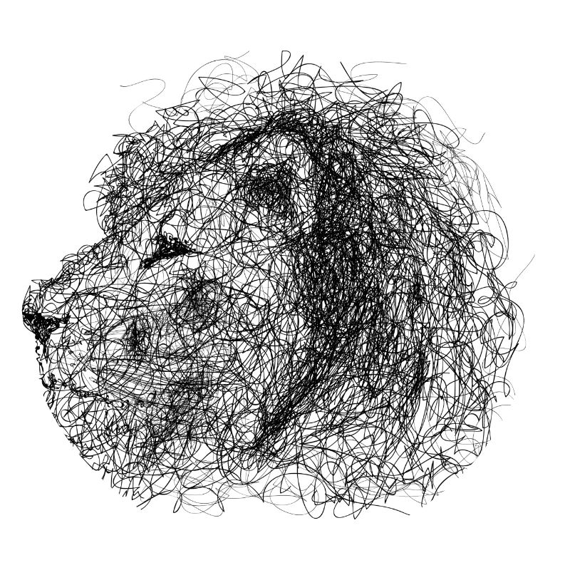Lion Scribble